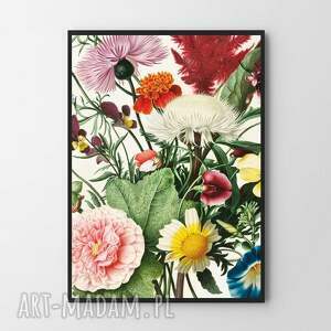 kwiatowy kadr - plakat 50x70 cm, plakaty botaniczne, botanika