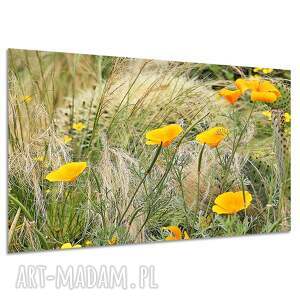 Żółte kwiaty na łące - obraz na płótnie 120x80 cm