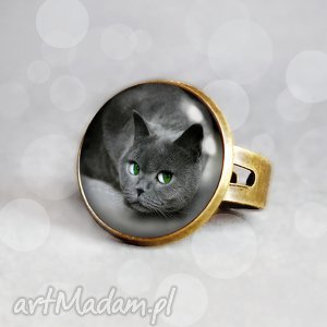 pierścionek z szarym kotem
