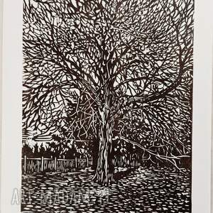 Linoryt Orzech włoski grafika, obrazek, obraz