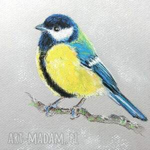Prezent obraz, sikorka pastele, ptaszek