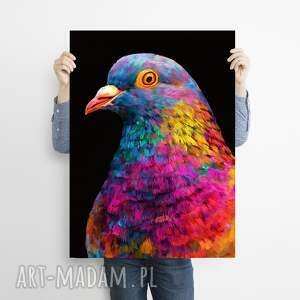 Prezent Gołąb - grafika na plakacie na A3, plakat