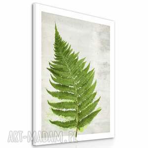 Obraz drukowany na płótnie - Paproć w stylu botanicznym 70x100 cm