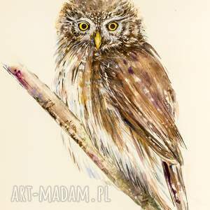 Sóweczka Grafika, sowa, las, naturalne, natura, przyroda