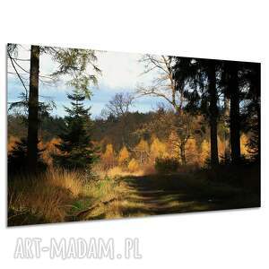 Obraz na płótnie Jesienny las ze ścieżką 120x80 cm