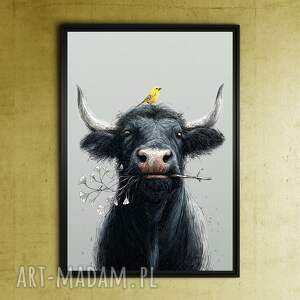 kanarek - grafika na plakacie A3 ptak, bawół, plakat prezent