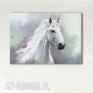 obraz - biały koń 120x85 wydruk na płótnie, canvas, grafika