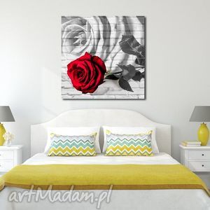 obraz XXL róża 3 - 80x80cm obraz na płótnie