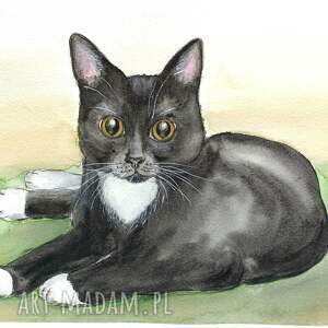 Prezent Kot - akwarela, koty, obrazy