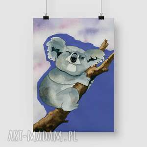 bednarczyk ilu plakat dekoracyjny A3 koala salonu, śmieszne