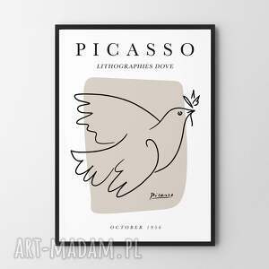 picasso szkic gołąb ptak - format 30x40 cm, plakat, plakaty, plakat ptaszek