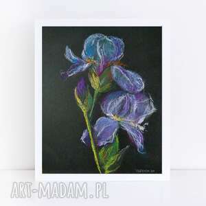 paulina lebida irysy - praca wykonana pastelami formatu A5 papier, rysunek