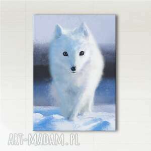 obraz - biały lis - skandynawski, wydruk na płótnie
