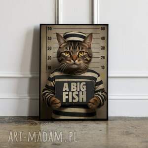 Plakat Poszukiwany kot - format 30x40 cm, plakaty