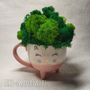 mech chrobotek w ceramicznej doniczce z motywem kota zielony obraz, eko