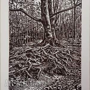 linoryt buk przy szlaku grafika, obrazek