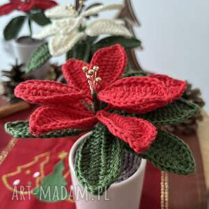gwiazda betlejemska - szydełkowa ozdoba świąteczna, kwiat bożonarodzeniowy