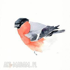 oryginalna akwarela gil, mieszkanie, prezent, dekoracje do domu, ptaki