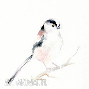 Prezent Oryginalna Raniuszek, akwarela, ptaki