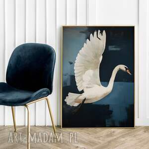 plakat łabędź ptak ptaki - format 50x70 cm salonu, plakaty sztuka