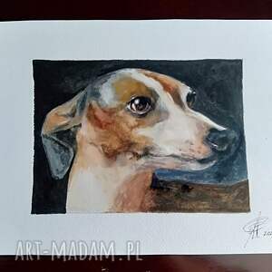 Akwarelowy portret charta - ręcznie malowany obraz na papierze