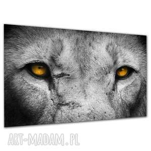 Obraz na płótnie Lew 120x80 cm - czarno-biały obraz na ścianę