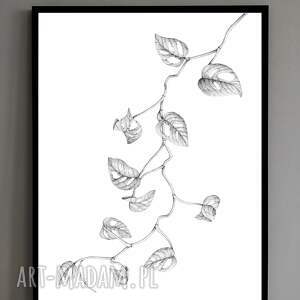 plakat monstera monkey mask, 70x50 cm, minimalizm, dotwork, roślina, natura