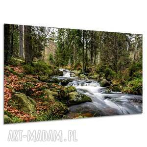 Obraz na płótnie Potok w lesie - Karkonosze 120x80 cm