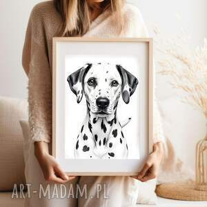 plakat dalmatyńczyk - format 30x40 cm pies zwierzę, piesek