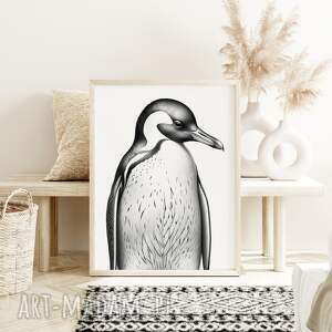 plakat pingwin vintage czarno-biały - format 61x91 cm pingwinem