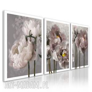 ludesign gallery obraz drukowany na płótnie kwiatypiwonie - tryptyk każda 50x70cm