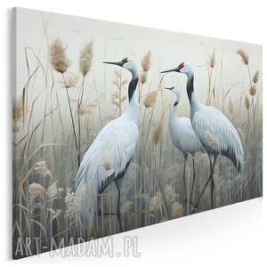 Obraz na płótnie - PTAKI CZAPLE ŻURAWIE - 70x50 cm (104601)