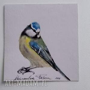 Sikorka. Akwarela, ptaki, malarstwo akwarelowe