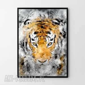 plakat obraz tygrys 50x70 cm b2