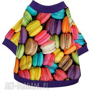 zwierzaki bluza dla psa bez kaptura makaroniki rozmiar xxs oraz s