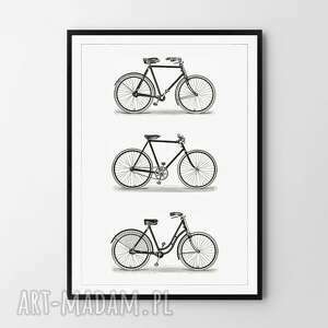 plakat obraz rowery 50x70 cm b2
