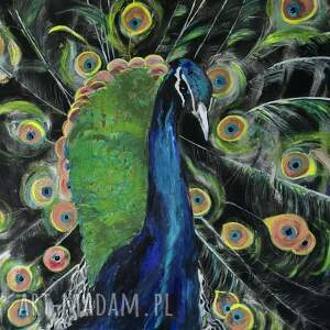 lady blue, obraz akrylowy na plotnie 50x50x1 cm, paw pawie oko