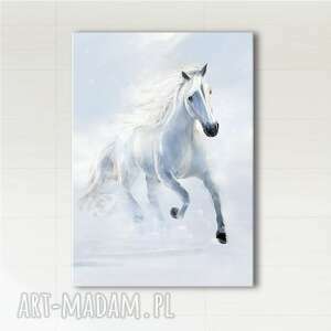 obraz - biegnący biały koń - wydruk na płótnie