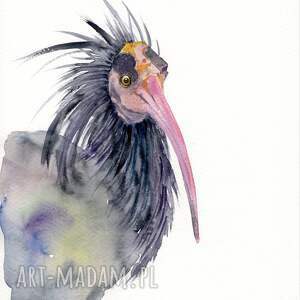 oryginalna akwarela ibis, obrazy, dekoracje ptaki prezenty