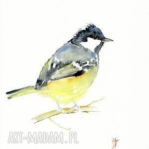 alquadro oryginalna akwarela sikora bogatka obrazy, sikorki, ptaki, dekoracje