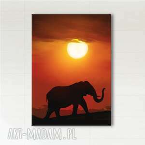 obraz - afryka 2 - płótno, zachód słońca