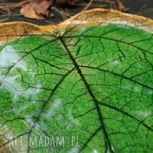 Katalpy, liśćie, talerz, patera liść