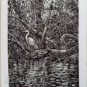 Linoryt Poranek w namorzynach grafika, obrazek