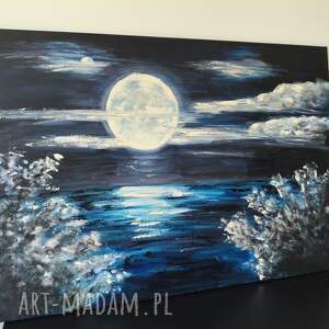 Obraz 70x100 Księżyc nocny pejzaż dekoracja ścienna struktura srebro