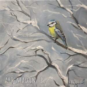 ptaszyna ptak, zima, śnieg, sikorka, dekor drzewo