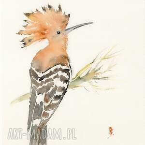 Prezent Oryginalna ptaki, akwarela, dudek