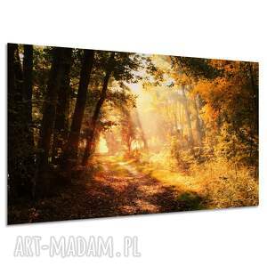 Obraz na płótnie Las - promienie słońca 120x80 cm
