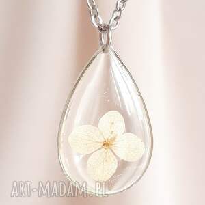 srebrny naszyjnik z prawdziwym kwiatem hortensja, kwiaty ogrodowe motyw kwiatowy