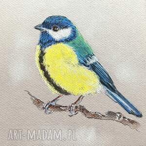 sikorka - pastele, ptak, ptaki obrazy, dzień babci, dziadka