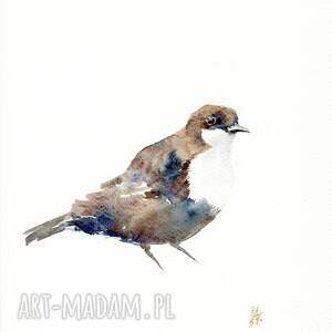 Prezent Oryginalna akwarela. Pluszcz, ptaki, natura